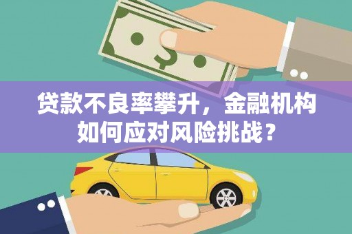酉阳贷款不良率攀升，金融机构如何应对风险挑战？