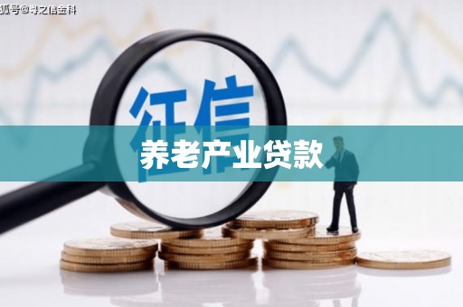 酉阳养老产业贷款