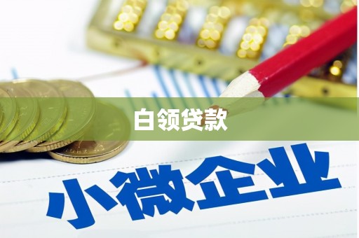 酉阳白领贷款