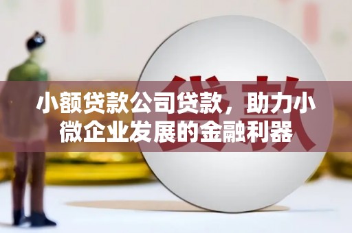 酉阳小额贷款公司贷款，助力小微企业发展的金融利器