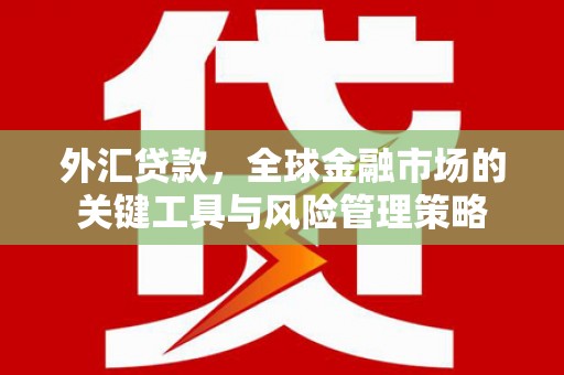 酉阳外汇贷款，全球金融市场的关键工具与风险管理策略