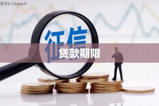 酉阳贷款期限