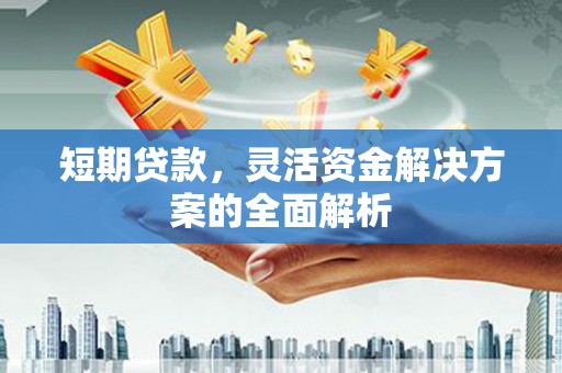 酉阳短期贷款，灵活资金解决方案的全面解析