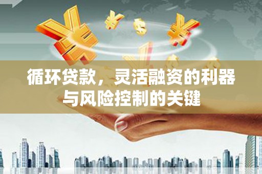 酉阳循环贷款，灵活融资的利器与风险控制的关键