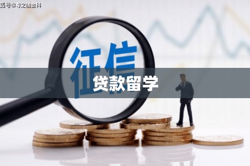 酉阳贷款留学