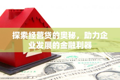 酉阳探索经营贷的奥秘，助力企业发展的金融利器