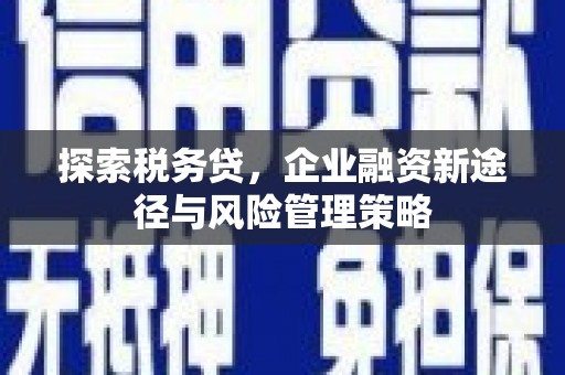 酉阳探索税务贷，企业融资新途径与风险管理策略