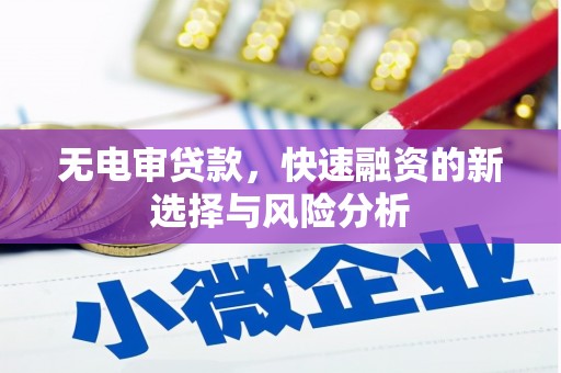 酉阳无电审贷款，快速融资的新选择与风险分析