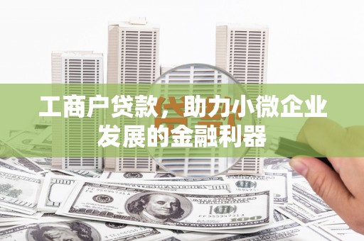 酉阳工商户贷款，助力小微企业发展的金融利器