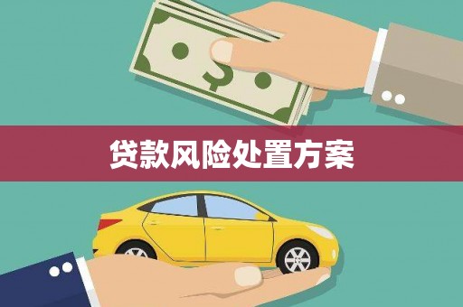 酉阳贷款风险处置方案