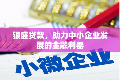 酉阳银盛贷款，助力中小企业发展的金融利器