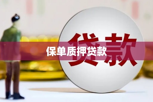 酉阳保单质押贷款