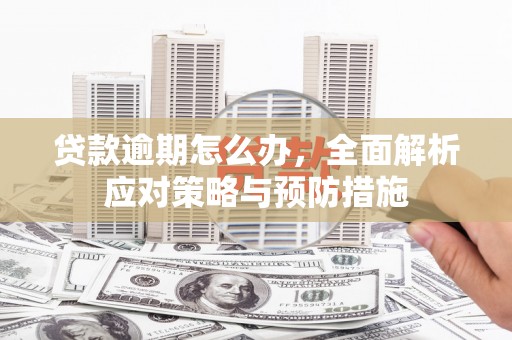 酉阳贷款逾期怎么办，全面解析应对策略与预防措施