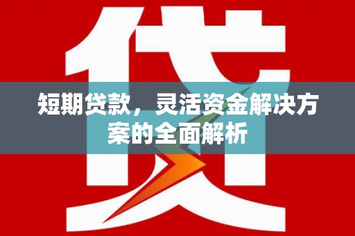 酉阳短期贷款，灵活资金解决方案的全面解析
