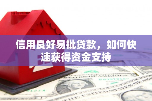 酉阳信用良好易批贷款，如何快速获得资金支持