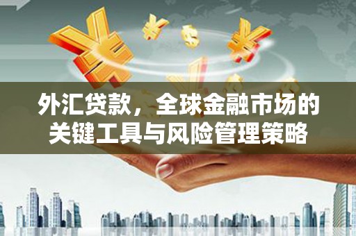 酉阳外汇贷款，全球金融市场的关键工具与风险管理策略
