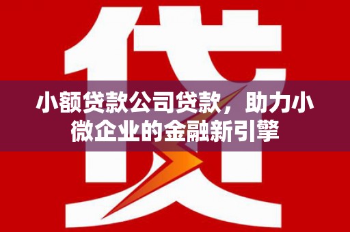 酉阳小额贷款公司贷款，助力小微企业的金融新引擎