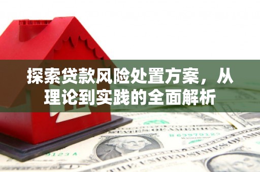 酉阳探索贷款风险处置方案，从理论到实践的全面解析