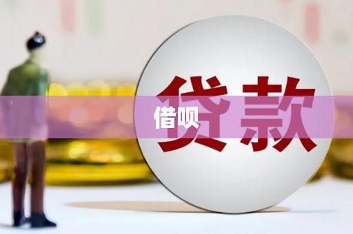 酉阳借呗