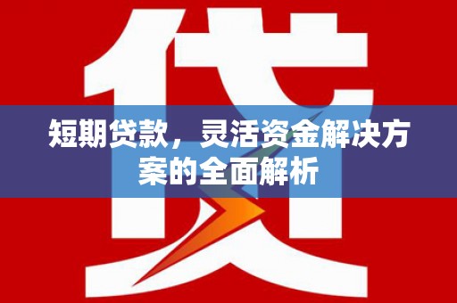 酉阳短期贷款，灵活资金解决方案的全面解析