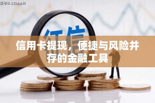酉阳信用卡提现，便捷与风险并存的金融工具