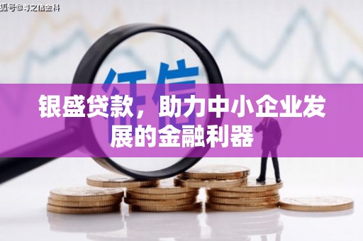 酉阳银盛贷款，助力中小企业发展的金融利器