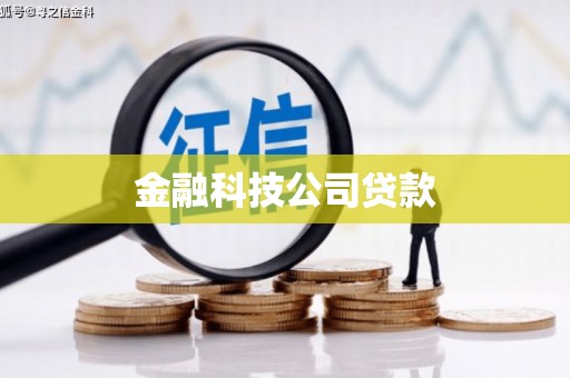 酉阳金融科技公司贷款