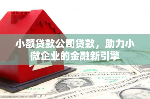 酉阳小额贷款公司贷款，助力小微企业的金融新引擎