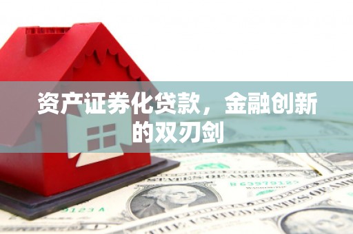 酉阳资产证券化贷款，金融创新的双刃剑