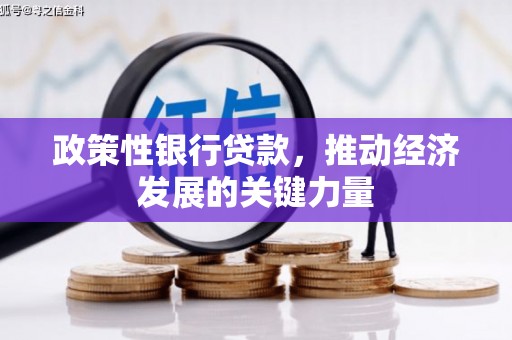 酉阳政策性银行贷款，推动经济发展的关键力量