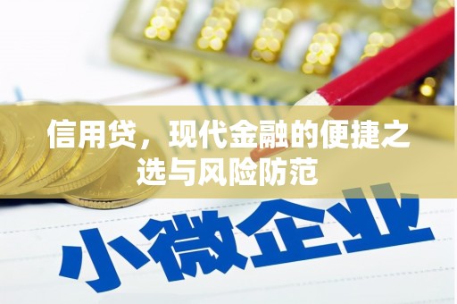 酉阳信用贷，现代金融的便捷之选与风险防范