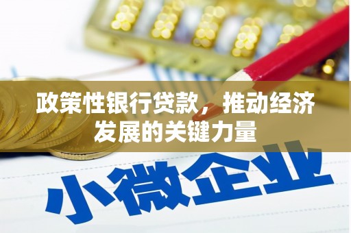 酉阳政策性银行贷款，推动经济发展的关键力量