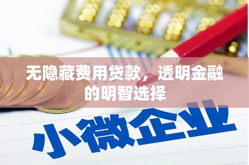 酉阳无隐藏费用贷款，透明金融的明智选择