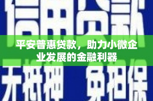 酉阳平安普惠贷款，助力小微企业发展的金融利器