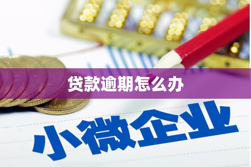 酉阳贷款逾期怎么办
