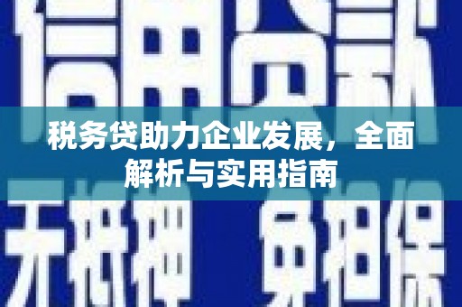 酉阳税务贷助力企业发展，全面解析与实用指南