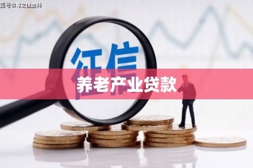 酉阳养老产业贷款