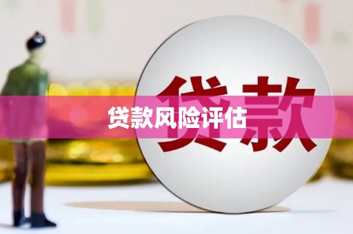 酉阳贷款风险评估