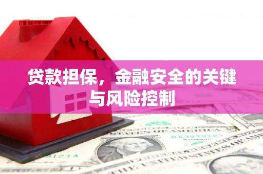 酉阳贷款担保，金融安全的关键与风险控制