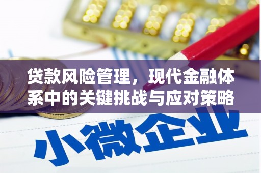 酉阳贷款风险管理，现代金融体系中的关键挑战与应对策略