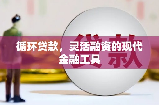 酉阳循环贷款，灵活融资的现代金融工具