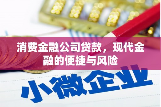 酉阳消费金融公司贷款，现代金融的便捷与风险