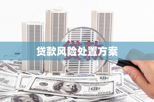酉阳贷款风险处置方案