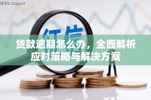 酉阳贷款逾期怎么办，全面解析应对策略与解决方案